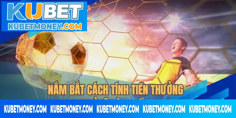 Nắm bắt cách tính tiền thưởng theo tỉ lệ kèo thể thao Nắm bắt cách tính tiền thưởng theo tỉ lệ kèo thể thao