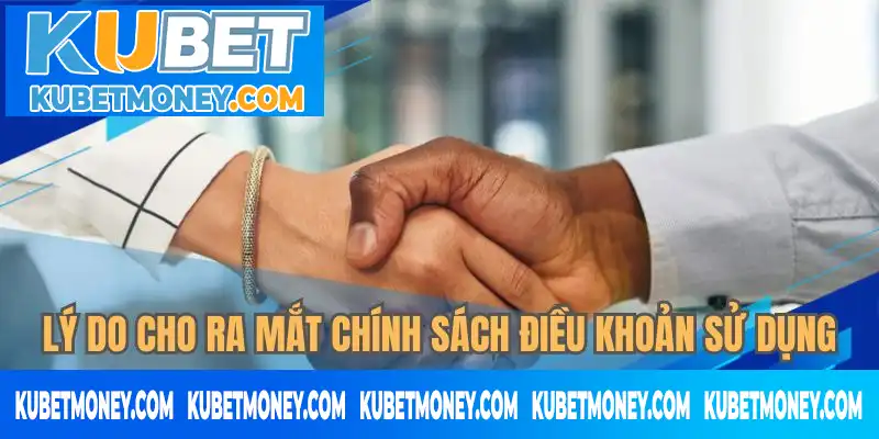 Tầm quan trọng khi cho ra mắt chính sách điều khoản sử dụng Tầm quan trọng khi cho ra mắt chính sách điều khoản sử dụng